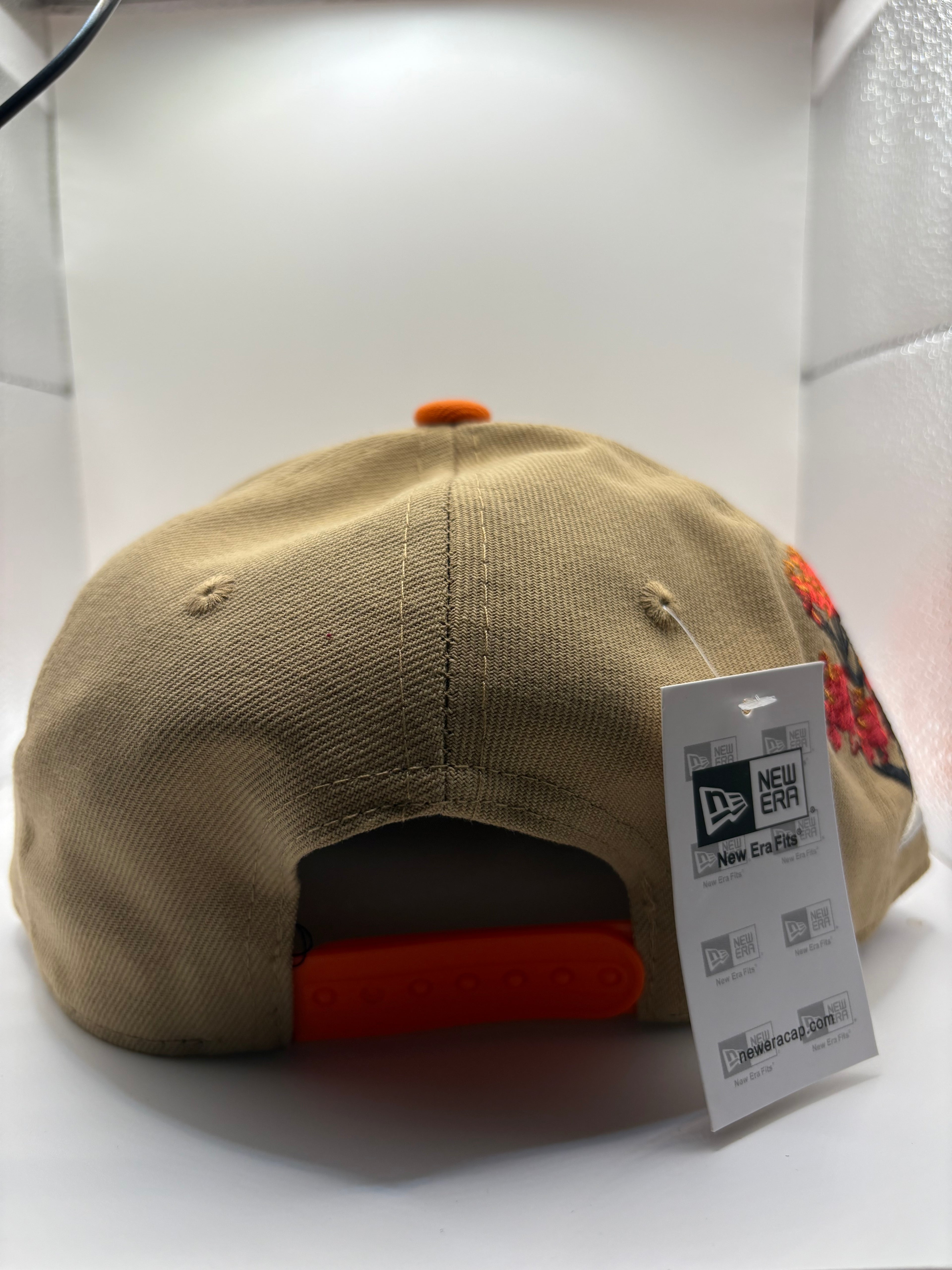 Autumn Springs SnapBack